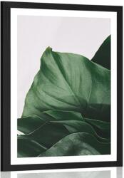 Dovido Poszter paszpartuval: elbűvölő monstera levél. - 20x30 no frame