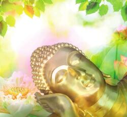 Dovido Tapéta alvó Buddha - 294x270