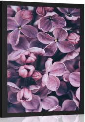Dovido Poszter lial orgona virág - 60x90 white