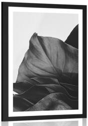 Dovido Poszter paszpartuval - Bűbájos Monstera Levél fekete-fehér kivitelben. - 20x30 silver