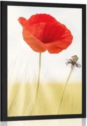 Dovido Poszter pipacs - 30x45 no frame - dovido - 3 415 Ft