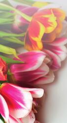 Dovido Öntapadó fotótapéta színes tulipán csokor - 147x270