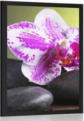 Dovido Poszter orchidea és fekete kövek - 30x45 no frame