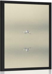 Dovido Poszter madarak a ködben - 40x60 silver