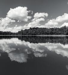 Dovido Fotótapéta nyári természet fekete fehérben - 245x270