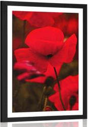 Dovido Poszter paszportuval pipacs mező - 60x90 black