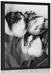 Dovido Poszter tavaszi tulipánok fekete fehérben - 30x45 white