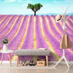 Dovido Fotótapéta Provence-i levendulamező - 343x231