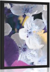 Dovido Poszter virágzó cseresznye ág - 40x60 black