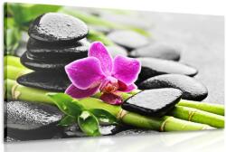 Dovido Kép Spa összeállítás lila orchideával - 120x80