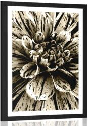 Dovido Poszter paszportuval exotikus dália szépia kivitelben - 40x60 white