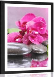 Dovido Poszter paszportuval orchidea relax érintéssel - 60x90 black