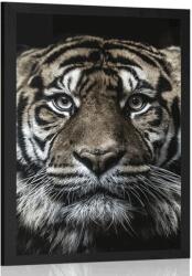 Dovido Poszter tigris - 30x45 silver