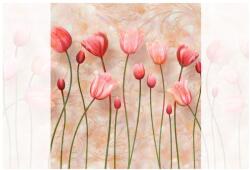 Dovido Öntapadó tapéta rózsaszínű tulipánok - 245x270