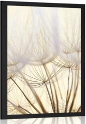 Dovido Poszter pitypang magok - 40x60 white