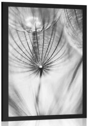 Dovido Poszter pitapang fekete fehérben - 30x45 silver
