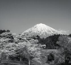 Dovido Fotótapéta Fuji hegy fekete fehérben - 294x270