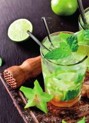 Dovido Öntapadó fotótapéta finom Mojito - 196x270