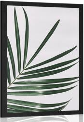 Dovido Poszter csodás pálmafa levél - 20x30 black