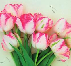 Dovido Öntapadó fotótapéta tavaszi tulipánok - 294x270