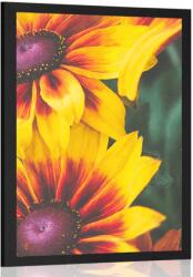 Dovido Poszter vonzó rudbeckia - 20x30 no frame