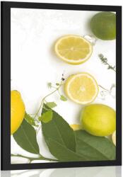 Dovido Poszter citrusfélék keveréke - 60x90 silver