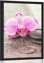 Dovido Poszter paszportuval orchidea és Zen kövek fa háttéren - 30x45 silver