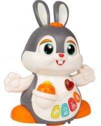 HOLA Rabbit dancing