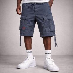 Surplus Rovid nadrag Surplus Airborn Vintage Shorts Grey