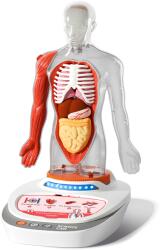 TopBright ScienceCan Joc STEM Anatomia umana, TopBright (TB_160022)