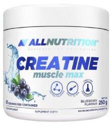 ALLNUTRITION Creatine Muscle Max, Blueberry - 250 grams