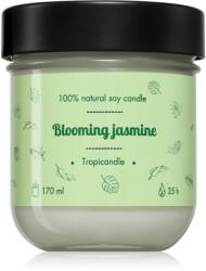 TROPIKALIA Green Tea ароматна свещ 170ml