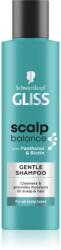 Schwarzkopf Gliss Scalp Balance sampon delicat pentru utilizarea de zi cu zi 200 ml
