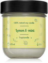 TROPIKALIA Lemon & Mint illatgyertya 170 ml