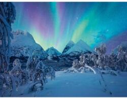 Ravensburger - Puzzle spectacol arctic 1500 piese - RVSPA00802 (RVSPA00802) Puzzle