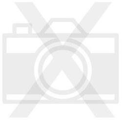 Panta Plast Asztali alátét, A3, 410x297 mm, színezhető, védő sarkokkal, PANTA PLAST, "virágok