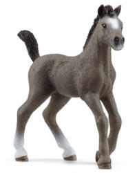 Schleich Mânz de Selle Français (SLH13957) Figurina