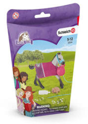 Schleich Joc Schleich cu mânji (SLH42534) Figurina