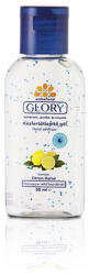 HiClean Glory/HC gél Citrom 50 ml kézfertőtlenítő (H-50C) - tintasziget