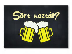  „Sört hoztál? - Vicces sörös lábtörlő (60×40 cm) (CQ04848)