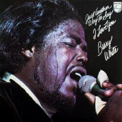 Universal White Barry: Just Another Way To Say I Love You - Vinyl (LP) (023499)