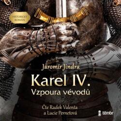 Multiland Karel IV. - Vzpoura vévodů (Jindra Jaromír - Stryková Jana, Valenta Radek) - 2CD (MP3) (074189)
