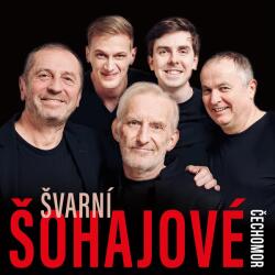 Warner Čechomor: Švarní šohajové - Vinyl (LP) (076040)