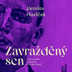 Multiland Zavražděný sen (Havlíček Jaroslav - Bareš Igor) - CD (MP3) (069984)