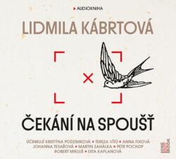 Multiland Čekání na spoušť (Lidmila Kábrtová) - CD (MP3) (045729)