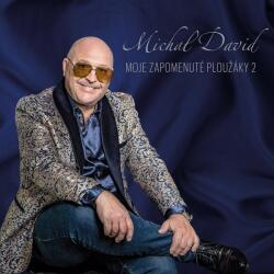 Warner David Michal: Moje zapomenuté ploužáky 2 - 2Vinyl (LP) (055865)