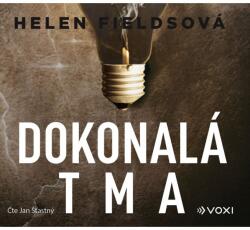 Multiland Dokonalá tma (Fieldsová Helen - Šťastný Jan) - CD (MP3) (072663)