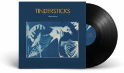 Sony Music Tindersticks: Distractions - Vinyl (LP) (044225)