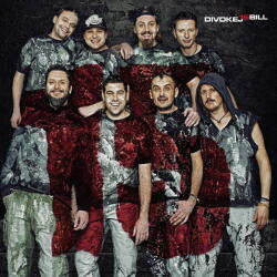 Supraphon Divokej Bill: 15 - Vinyl (LP) (083173)