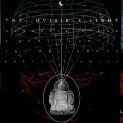 Universal T-Bone Burnett, Jay Bellerose, Keefus Ciancia: The Invisible Light: Acoustic Space - 2Vinyl (LP) (034315)